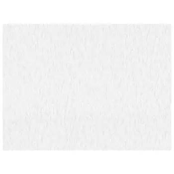 обои VILIA виниловые на флизелиновой основе 10,05х1,06м, арт.Ф14-10 1654-21