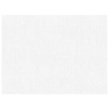 обои VILIA виниловые на флизелиновой основе 10,05х1,06м, арт.Ф6-10 1776-21