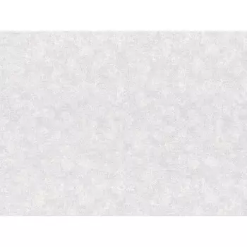 обои VILIA виниловые на флизелиновой основе 10,05х1,06м, арт.Ф4-10 1865-21