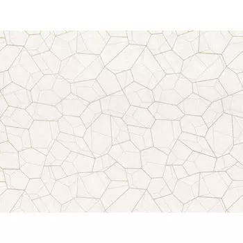 обои VILIA виниловые на флизелиновой основе 10,05х1,06м, арт.Ф1-10 1824-61