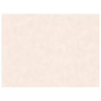 обои VOG COLLECTION виниловые на флизелиновой основе 10,05х1,06м, арт.VV72094-25