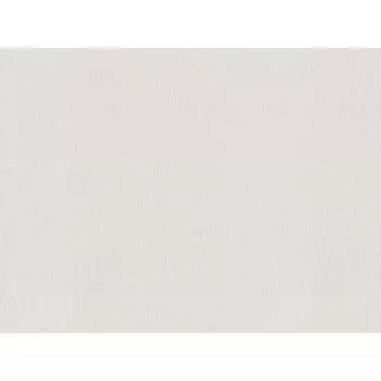 обои VOG COLLECTION виниловые на флизелиновой основе 10,05х1,06м, арт.VV72301-12