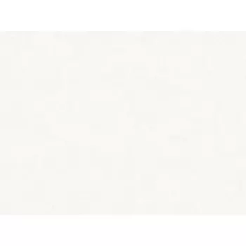 обои WALLSECRET виниловые на флизелиновой основе 10,05x1,06м, арт.8939-04