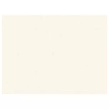 обои WALLSECRET виниловые на флизелиновой основе 10,05x1,06м, арт. 9003-12