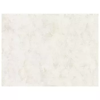 обои виниловые горячего тиснения на флизелиновой основе 10,05 х 1,06 м 70499-12