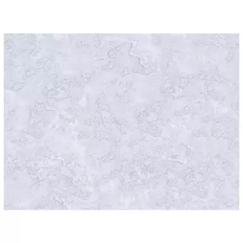 обои виниловые на бумажной основе 10,05х0,53м, арт.в664-01