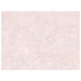 обои виниловые на бумажной основе 10,05х0,53м, арт.в664-03