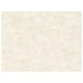 обои виниловые на флизелиновой основе 10,05х1,06м, арт.715517-02