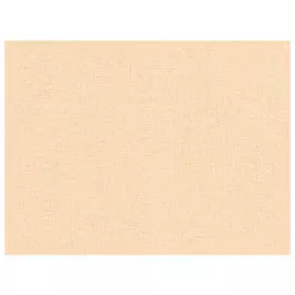 обои виниловые на флизелиновой основе 10,05х1,06м, арт.73297-01