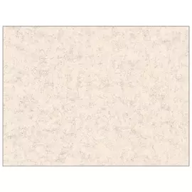 обои виниловые на флизелиновой основе 10,05х1,06м, арт.785387-05