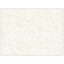 обои виниловые на флизелиновой основе 10,05х1,06м, арт.785387-10