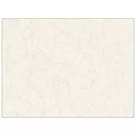 обои виниловые на флизелиновой основе 10,05х1,06м, арт.785877-06