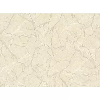 обои виниловые на флизелиновой основе 10,05х1,06м, арт.786367-05