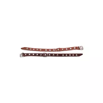 ошейник кожаный Бим для собак однослойный 2,5х25см в асс-те