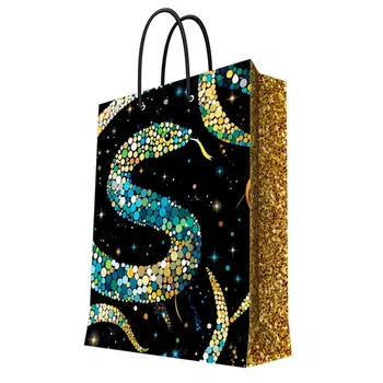 пакет бумажный Сувенирный 9,8х17,8х22,9см