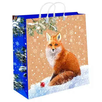 пакет (C) L 30х30х9см пластик в асс-те