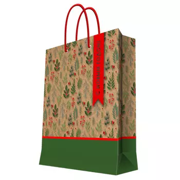 пакет крафт-бумага Сувенирный 18х23х10см