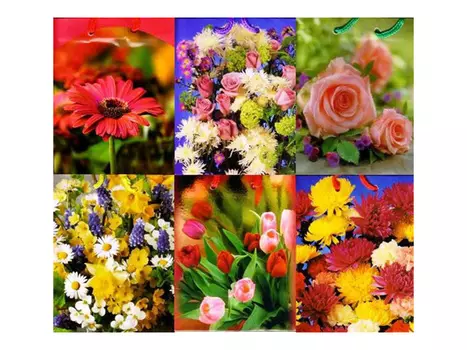 пакет подарочный (A) 15х11х6см в асс-те