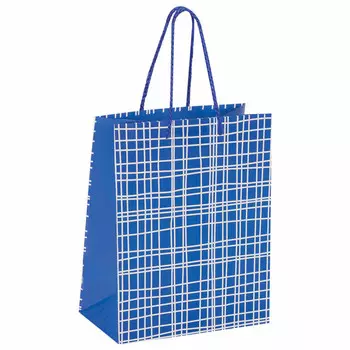 пакет подарочный (C) ЗОЛОТАЯ СКАЗКА В голубую клетку 22,9х17,8x9,8см