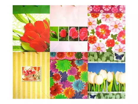 пакет подарочный (D) 33х26х14см в асс-те