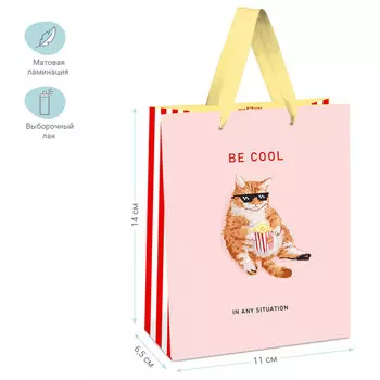 пакет подарочный MESHU Будь классным 11х14х6,5см