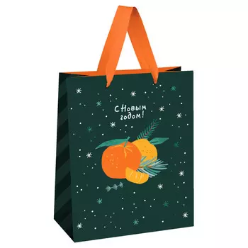 пакет подарочный MESHU Мандариновое настроение 18х23х10см