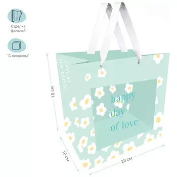 пакет подарочный MESHU Ромашки 23х18х10см