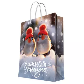 пакет подарочный Зимняя сказка 17,8x22,9x9,8см