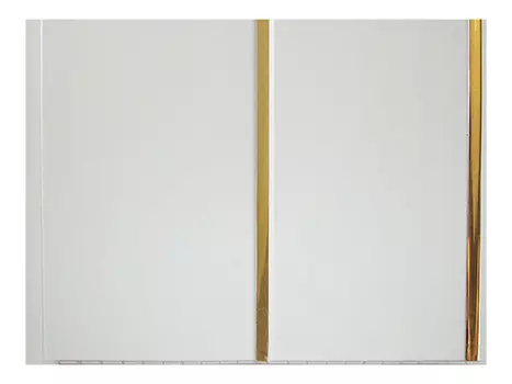 панель ПВХ 2-х секционная золото Белый глянец 3000х250х8мм