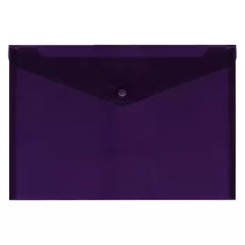 папка для тетрадей А4 с кнопкой в асс-те