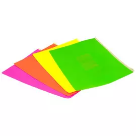 папка на молнии ZIP Бюрократ Double Neon A5 п/п в асс-те