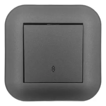переключатель 1-клавишный OVIVO Loft проходной дымчатый