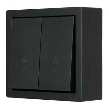 переключатель 2-клавишный LEZARD Leto проходной чёрный бархат
