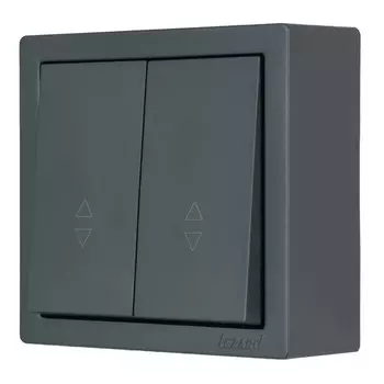переключатель 2-клавишный LEZARD Leto проходной графит