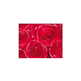 пленка самокл. GEKKOFIX 45смх2м розы, арт.12678