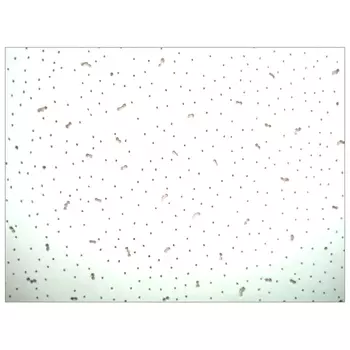 плита потолочная BESTENHAUS 600х600х6мм уп.22шт