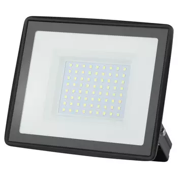 прожектор светодиодный ЭРА 100Вт 6500К IP65 8000Лм черный