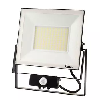 прожектор светодиодный RITTER Profi с датчиком движения 230В 100Вт 6500К 10000Лм IP65 черный