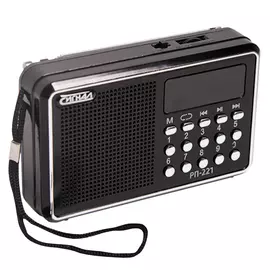 радиоприемник СИГНАЛ РП-221 USB/microSD