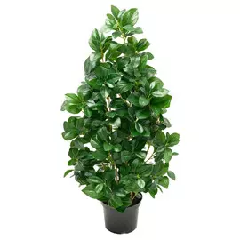 растение искусственное дерево в горшке Рускус 100см