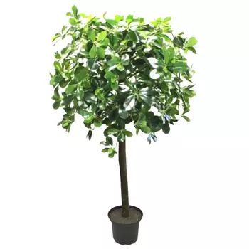 растение искусственное дерево в горшке Шеффлера 130см