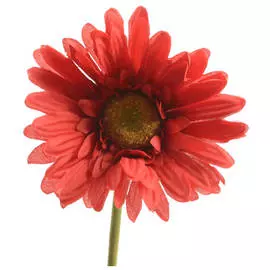 растение искусственное Гербера красная 50см