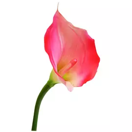 растение искусственное Калла 70см цвет в асс-те