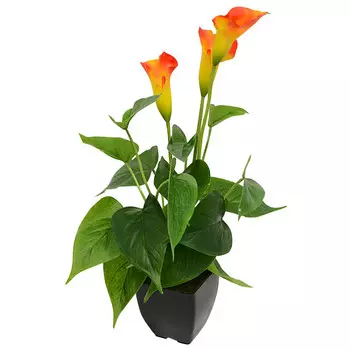 растение искусственное Каллы оранжевые в кашпо 42см