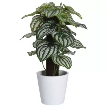 растение искусственное Пеперомия в горшке 25см в асс-те