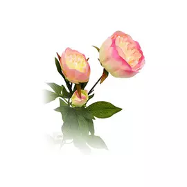 растение искусственное Пион светло-розовый 72см