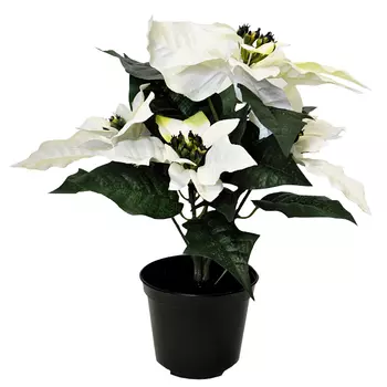 растение искусственное Пуансетия кремовая в пластиковом кашпо 30см
