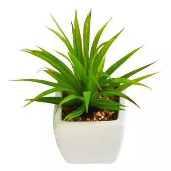 растение искусственное Суккулент Тилландсия в кашпо 19см