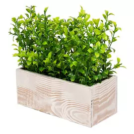растение искусственное в ящике Самшит 20х21х9см
