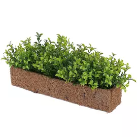 растение искусственное в ящике Самшит 8х40см